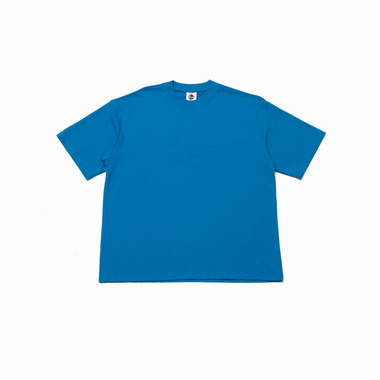 BLANK  BLUE
