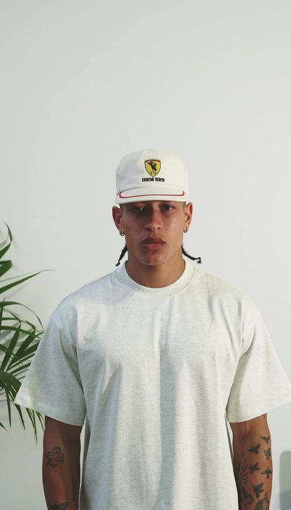 BUCKING MOTORS 5PANEL